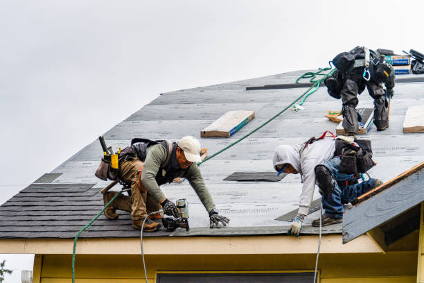 Professional Roofing technician working in Harrisonville, PA